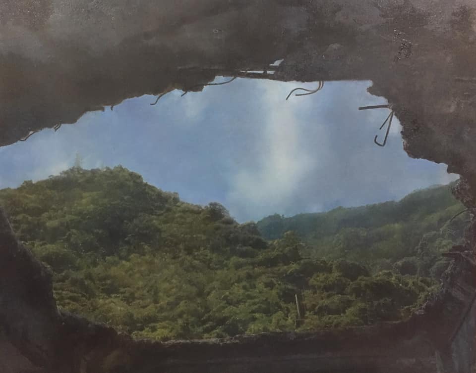 蔡維傑天窗系列 ，利用人造物毀損後的窗口，窺探人類與自然間的關係，進而審視自己與世界的距離