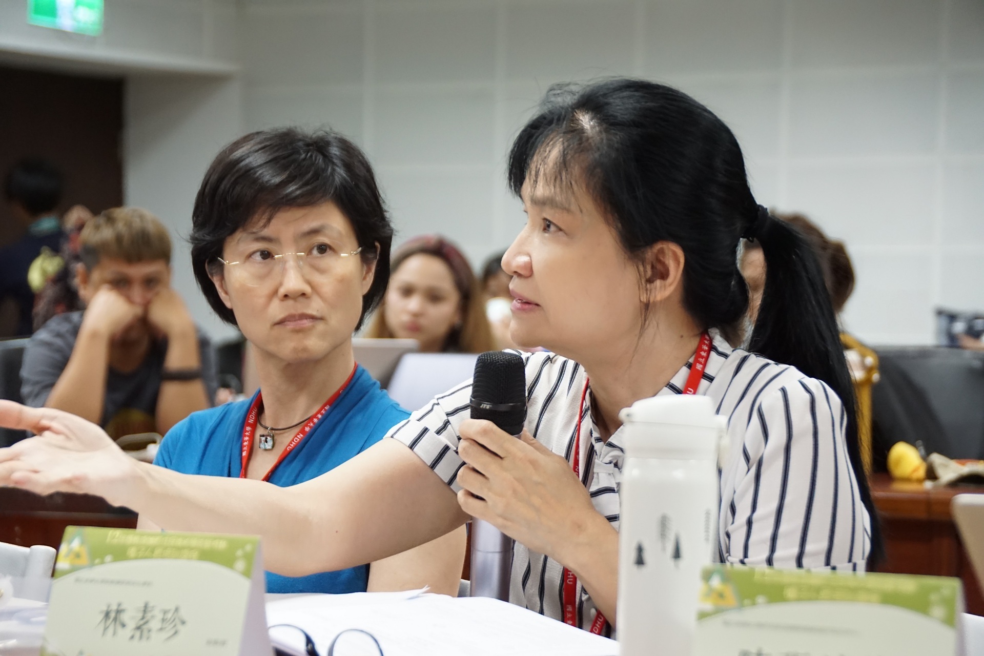 原住民民族學院林素珍教授講評