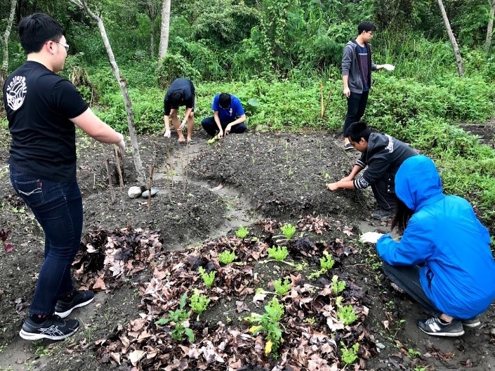 從整地、落葉堆肥種出自己的祝福