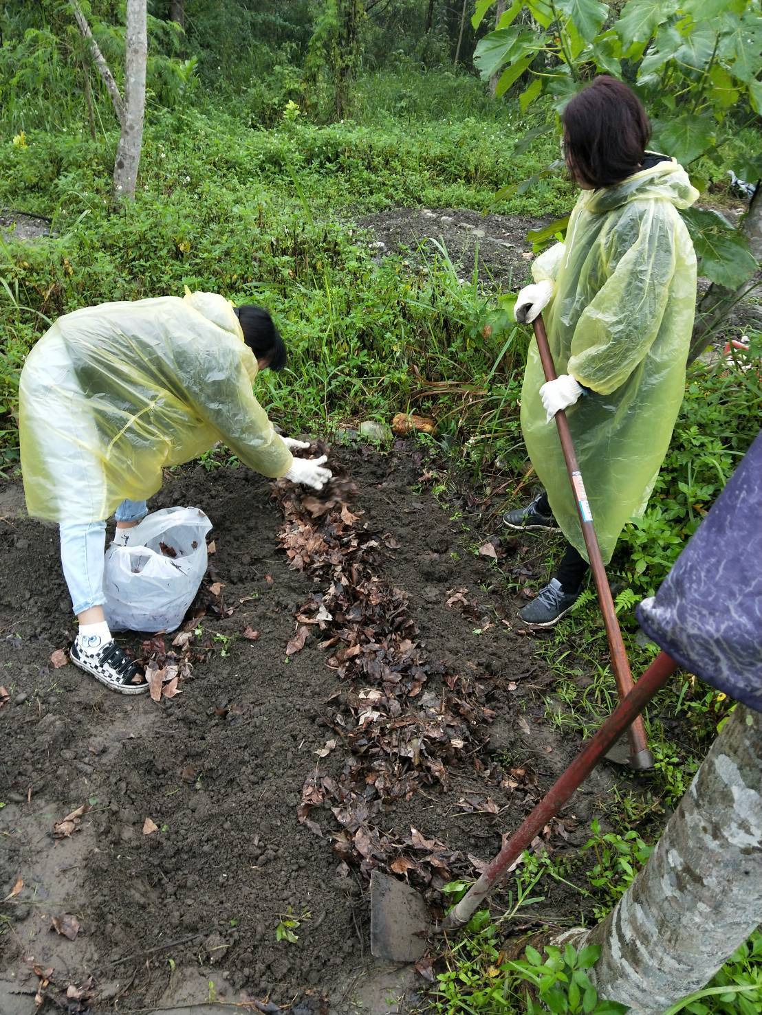 透過親自下田種植連結與認識環境