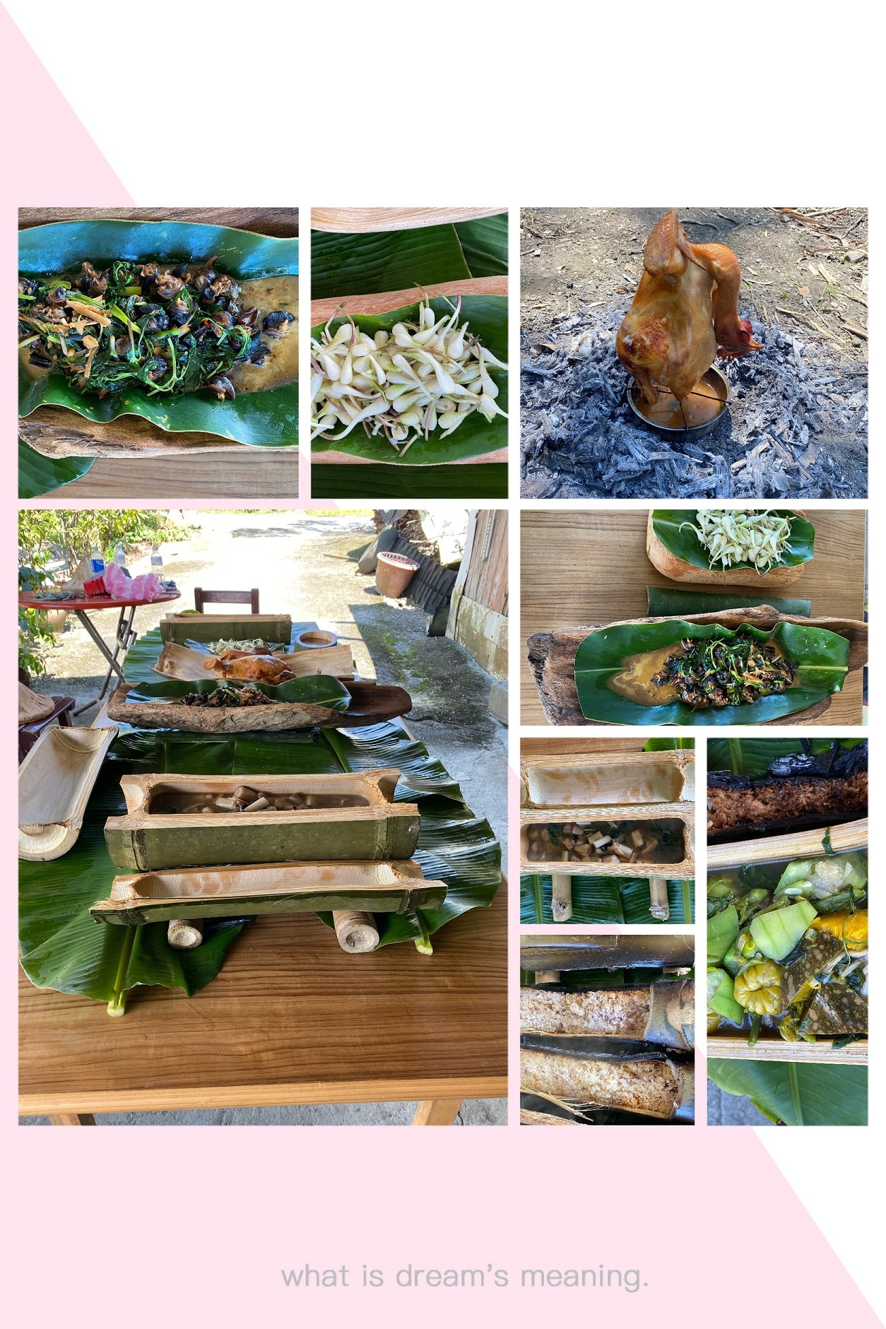 體育系師生無具野炊烹煮美味佳餚