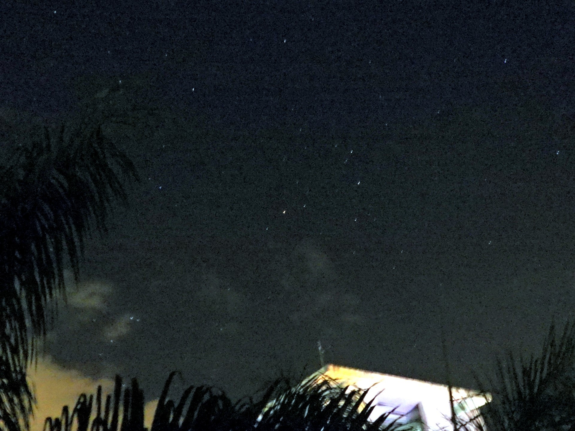 東華校園的星空留影