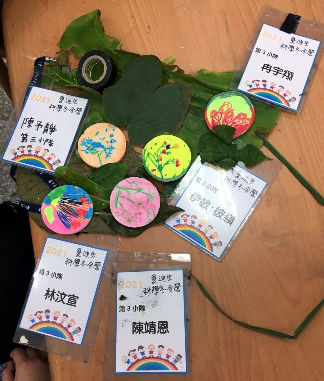 石膏拓印為植物留下美麗瞬間