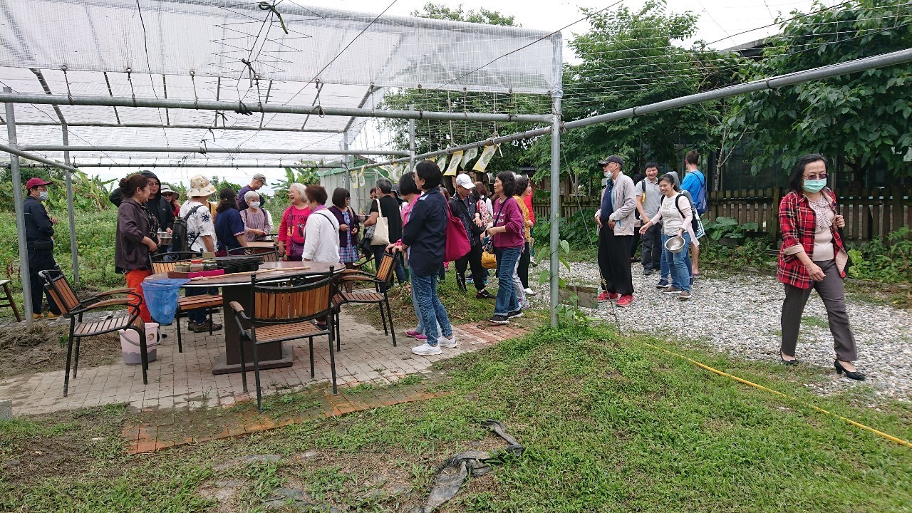 樂齡大學學員野菜園體驗
