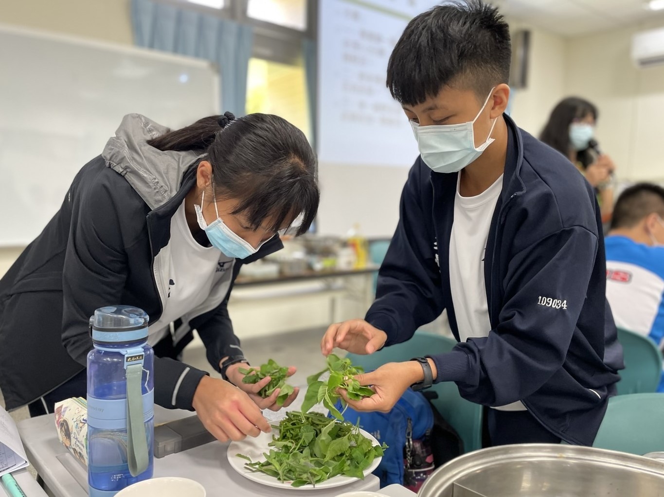 學員們在「苦不苦有學問」動手做教案中學習辨識生活中常見的野菜。