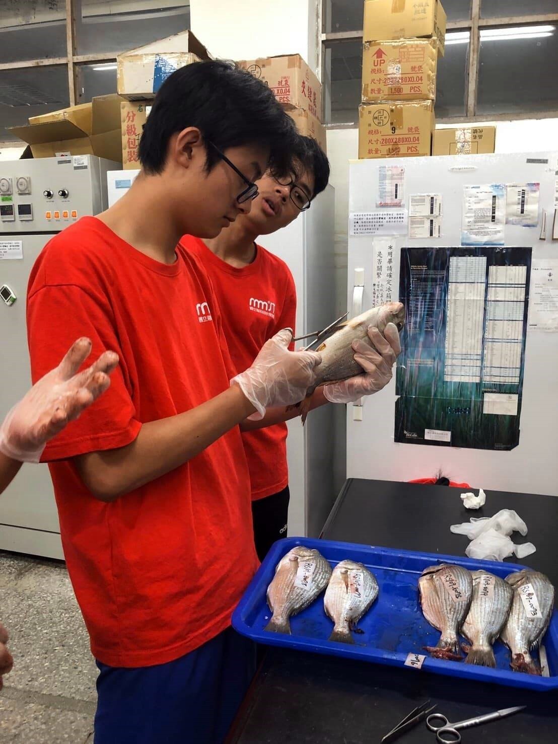 溫子謙同學在海科館實習採集魚類樣本
