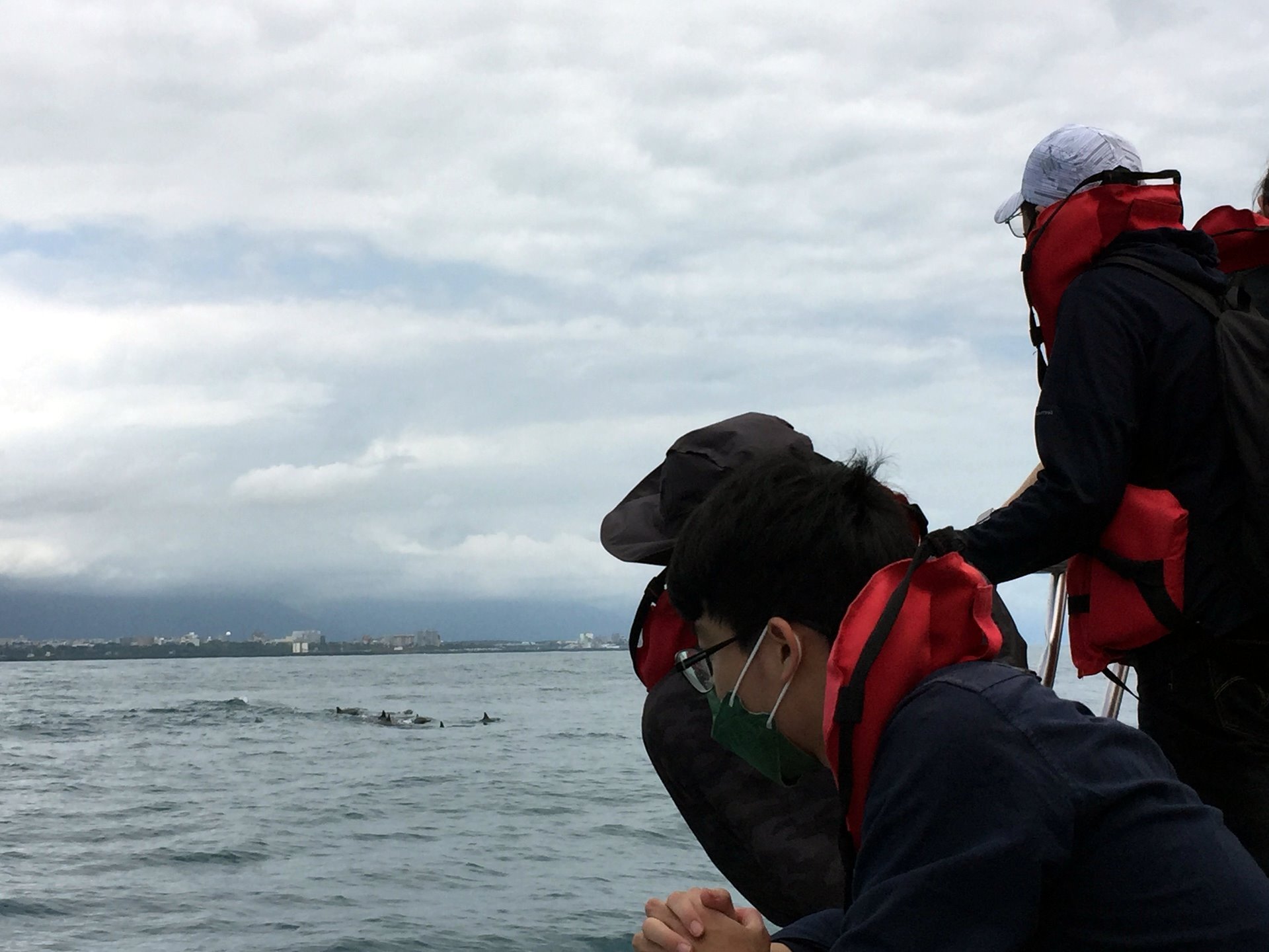 東華大學社會學系環境社會學課程出海觀察花蓮海岸地形巧遇飛旋海豚