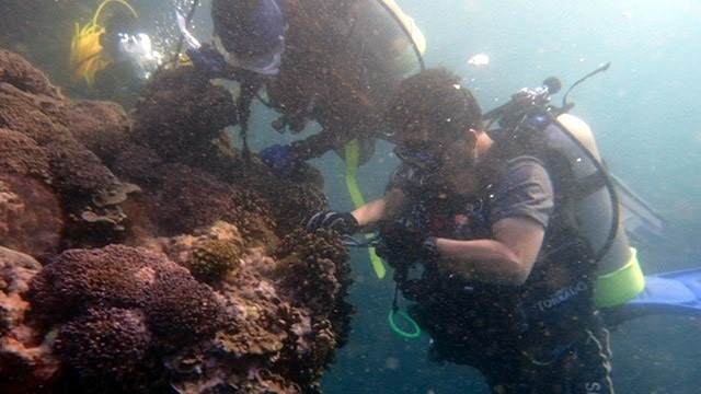 東華大學朱文正老師潛水淨海