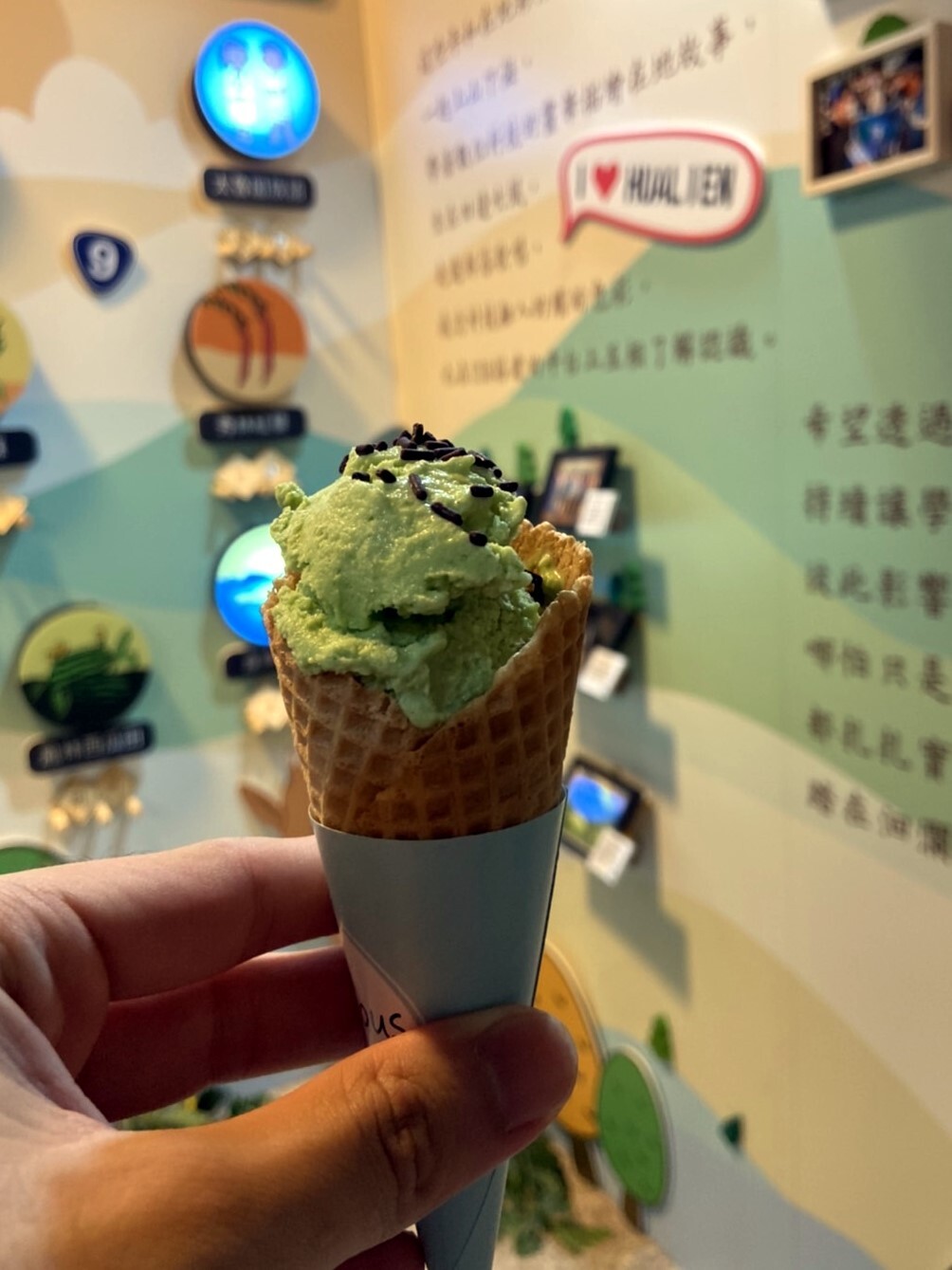 與慈濟科技大學共同協助原民族部落開發山蘇加工品-山蘇冰淇淋供不應求