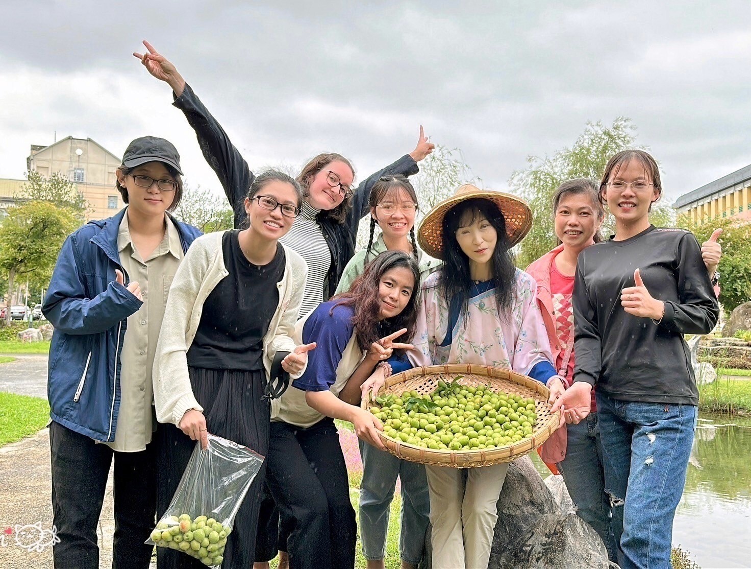 東華大學詩經花園梅子大豐收