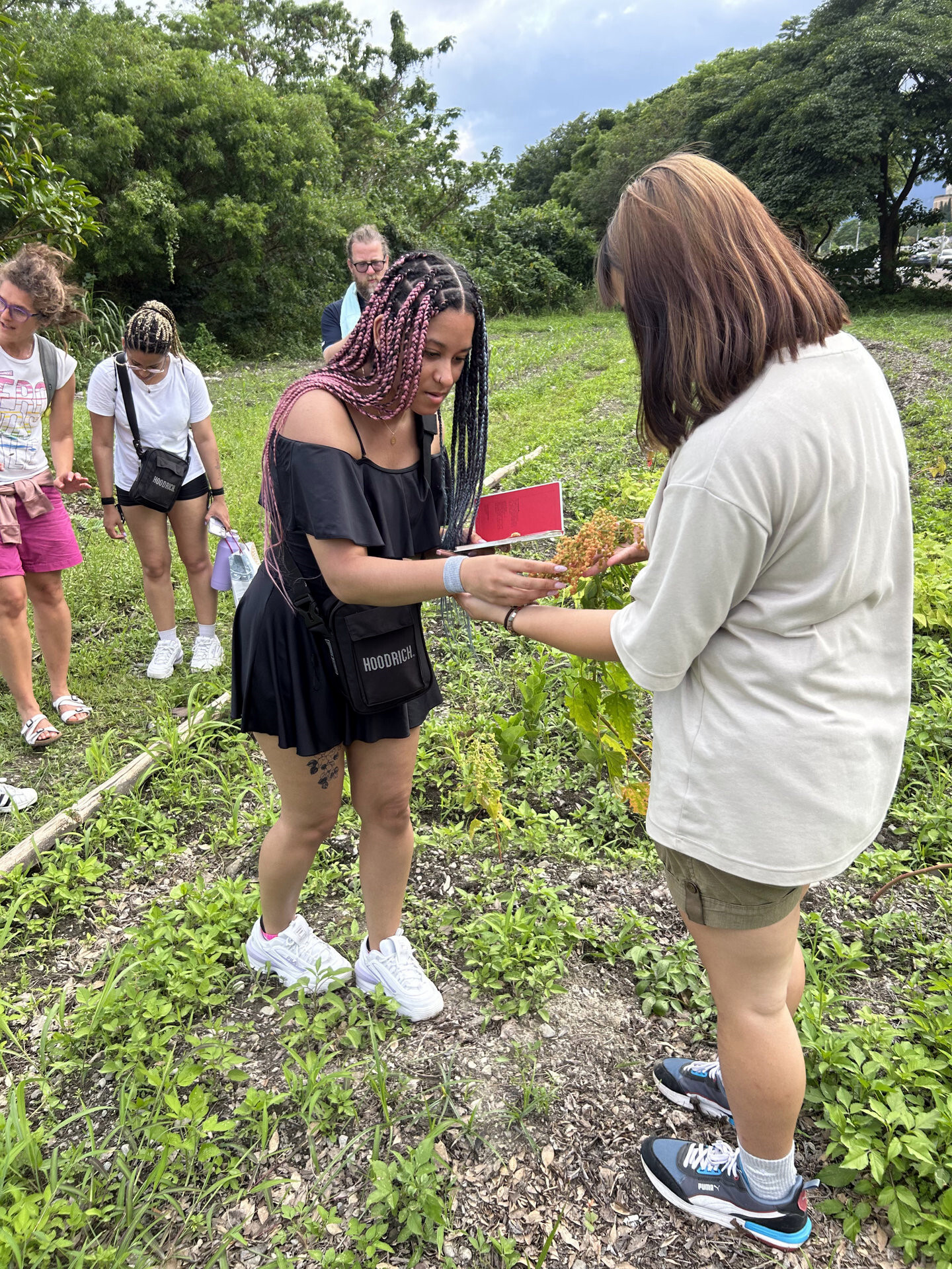 The visit included a trip to the NDHU Millet Garden, where the students learned about issues related to the food sovereignty of Taiwan