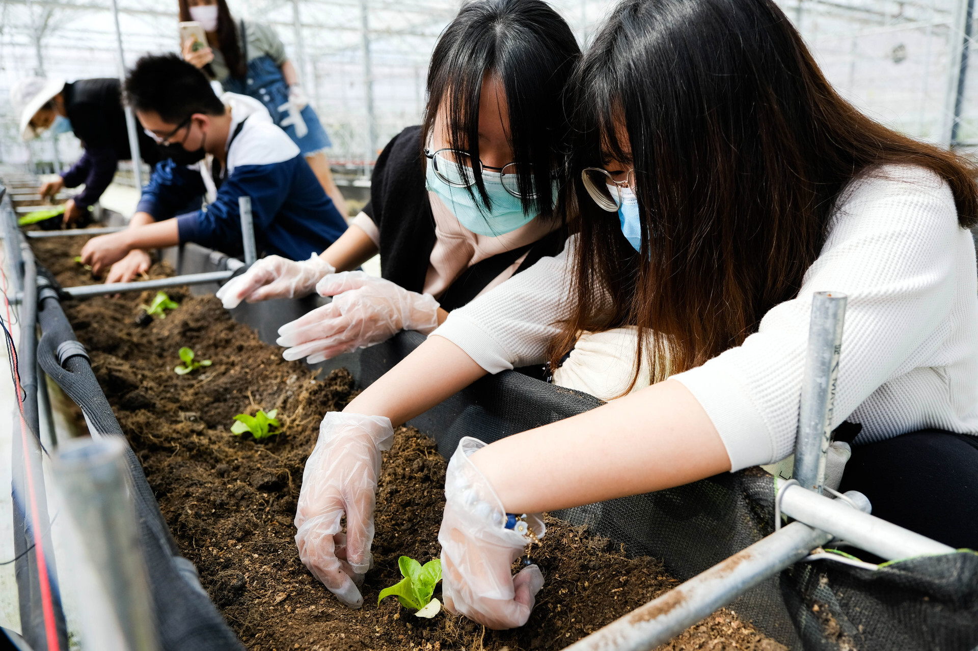 東華學生前往豐山社區體驗農業療癒遊程