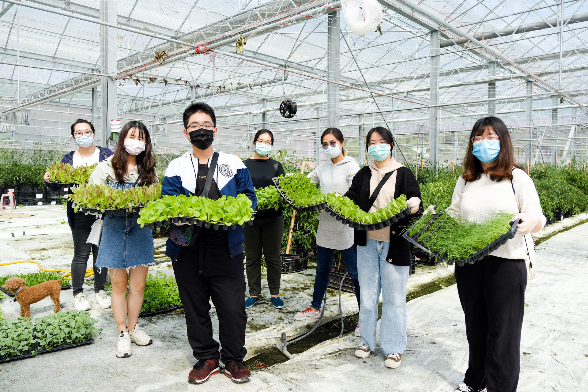 豐山社區農業療癒遊程大豐收