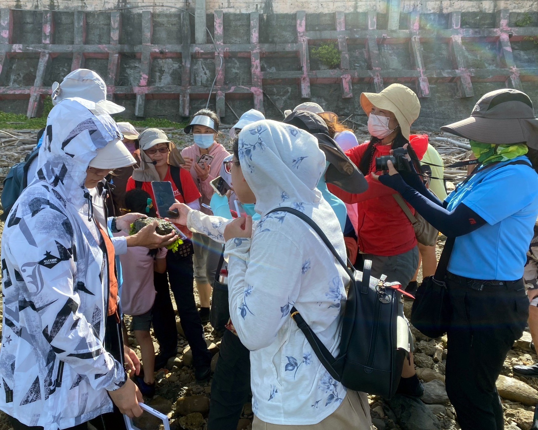 潮間帶解說導覽,在帶狀岩礁潮池與潮縫中認識生物