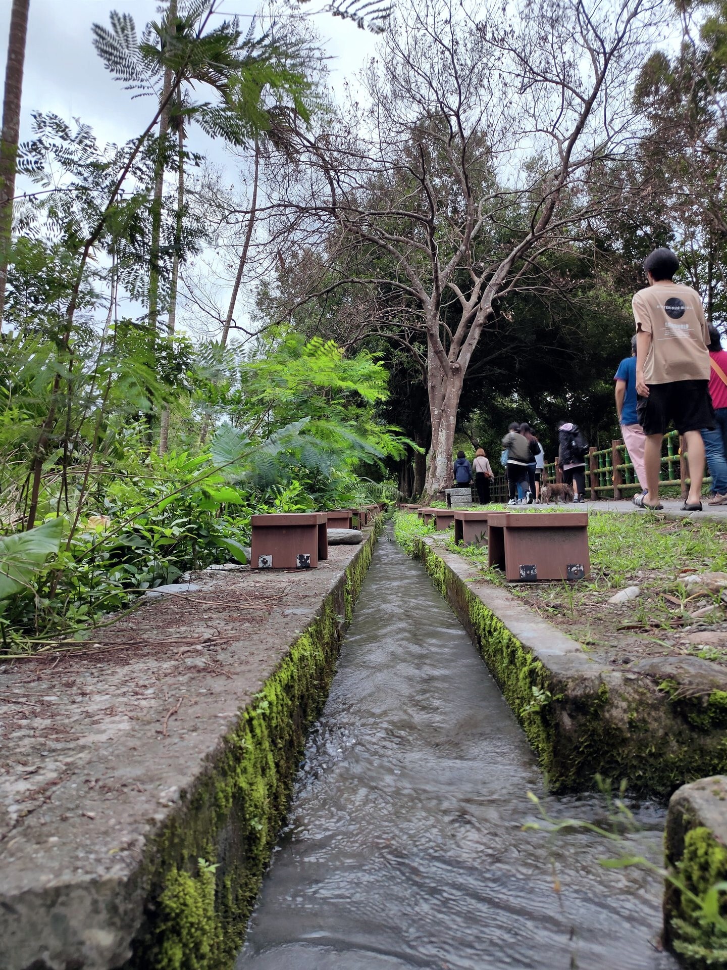 初英山親水公園供人泡腳休憩的小水道