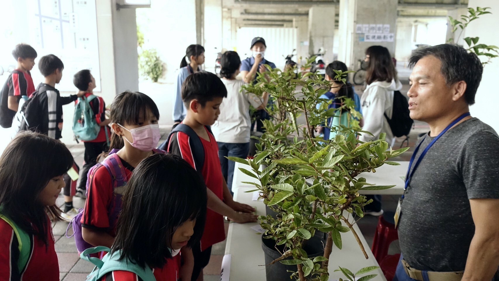同學們觀察「蝶舞䗛影 精彩蟲現」的生態變化