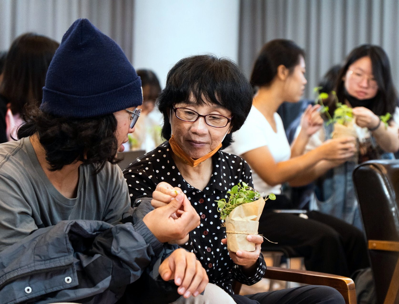 分享香草芬芳