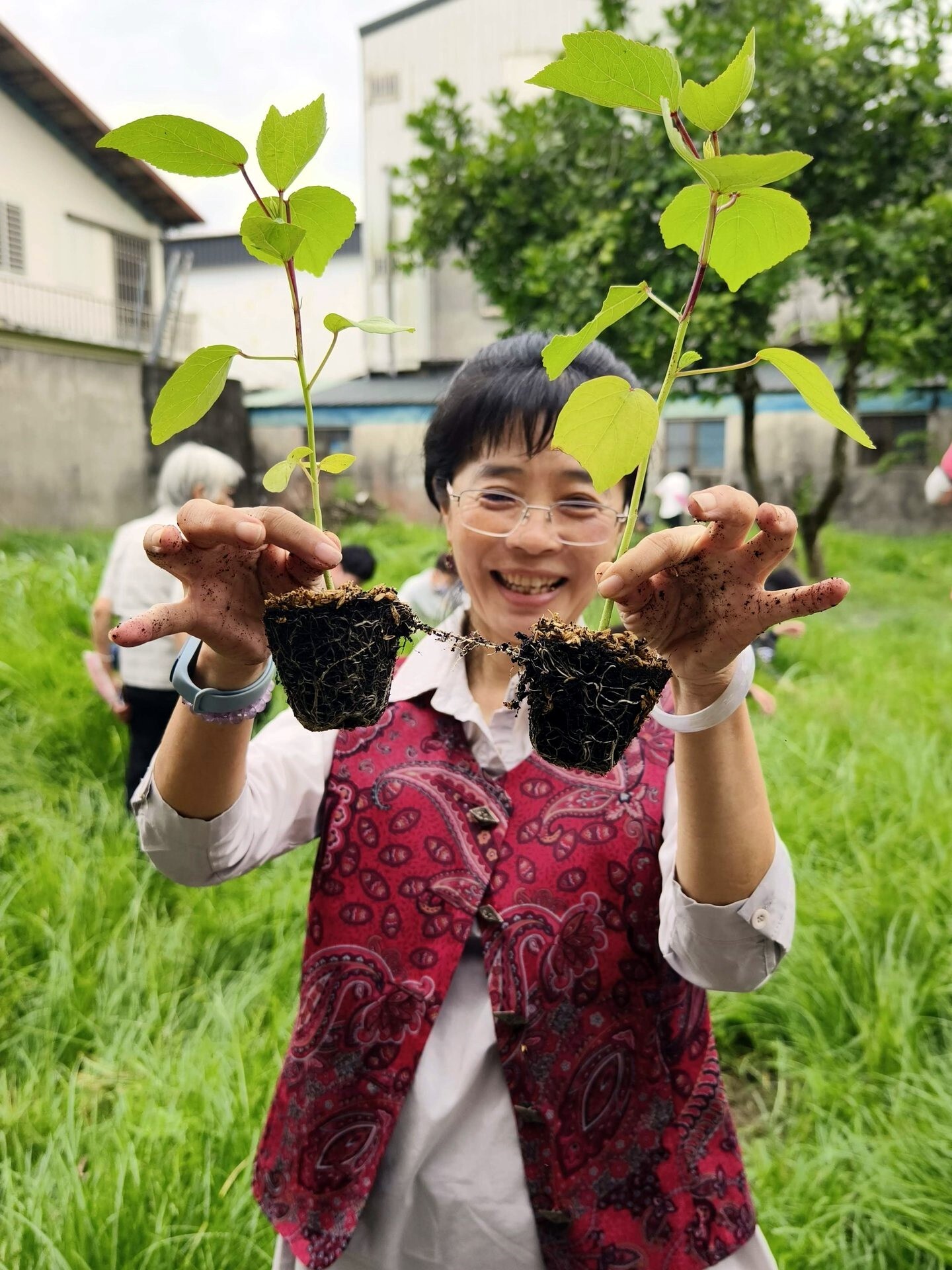 種植前先查看幼苗的根系是否健康