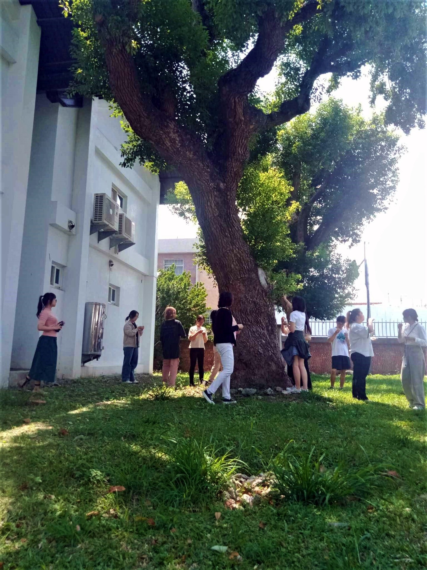 在臺東芳心好美館,學生隨鄭育慧講師引導,尋找自己聞到的植物