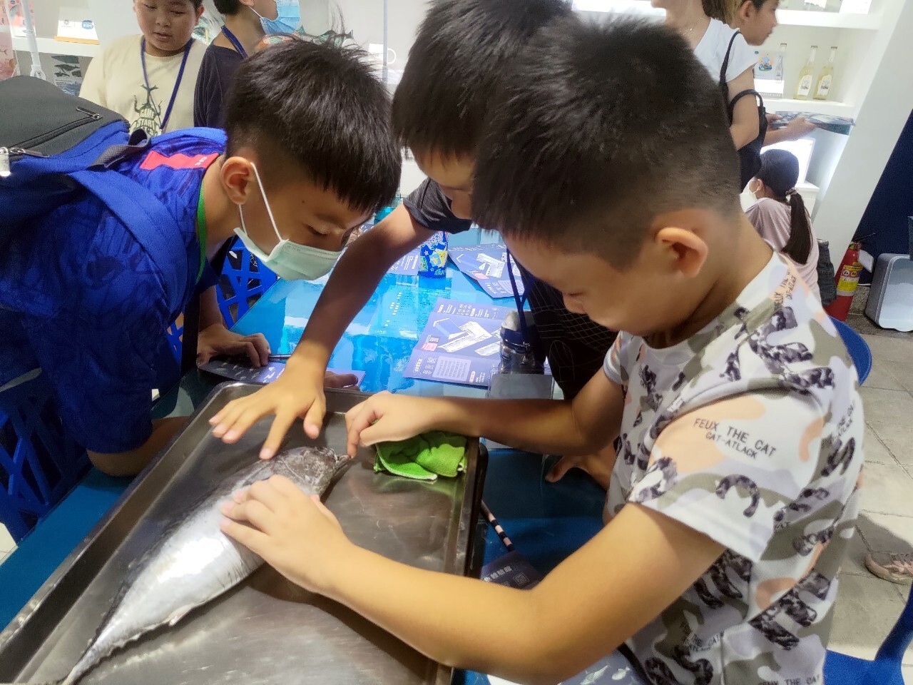 洄游吧食魚體驗館了解海洋生態及永續漁業