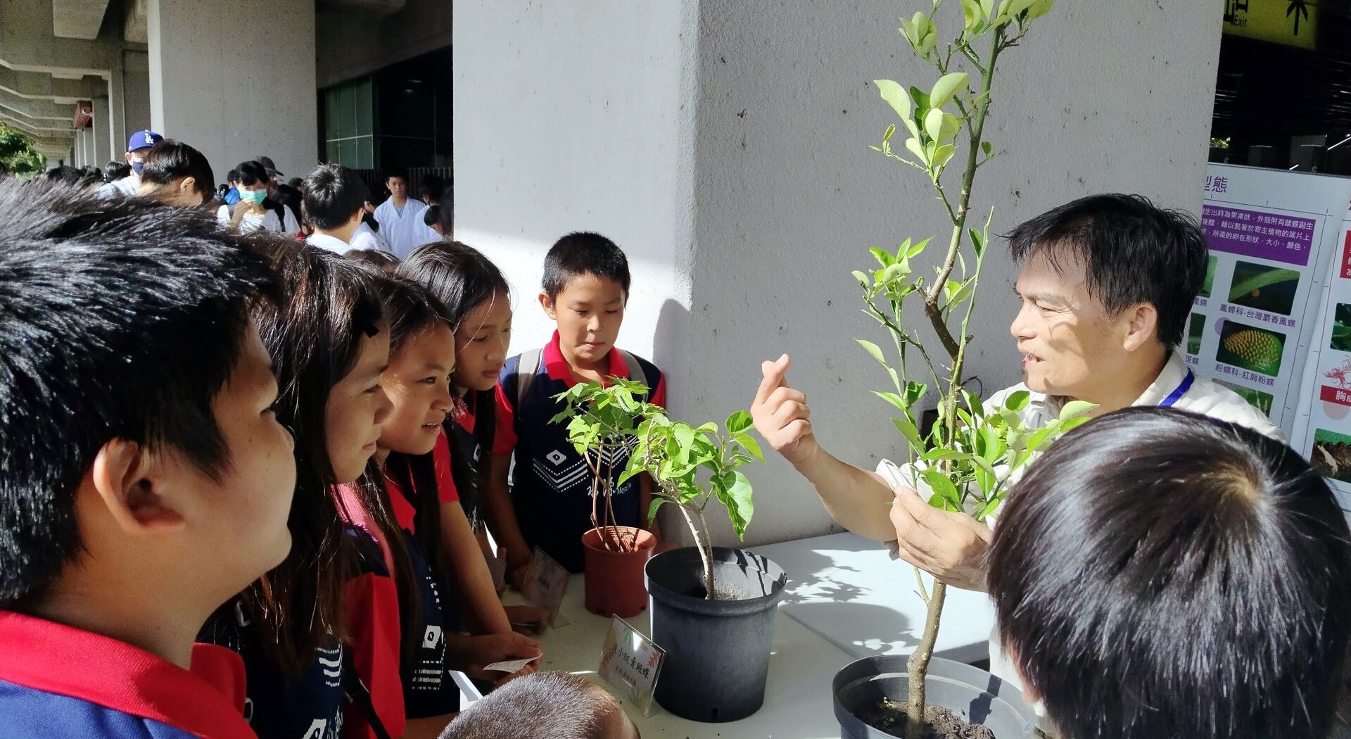 帶學生認識完全變態與不完全變態昆蟲的「蝶舞䗛影 精彩蟲現」關卡