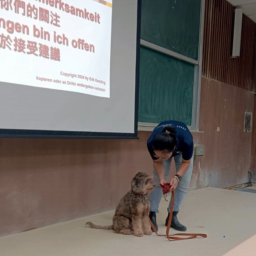 輔助犬協助課程進行