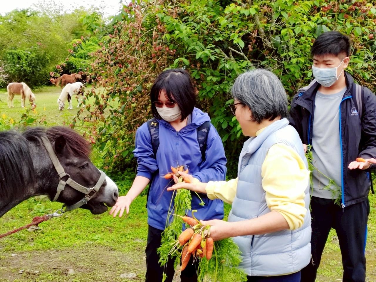 參與南華社區推動的動物輔助教育活動,瞭解馬匹如何成為身心療癒的橋樑