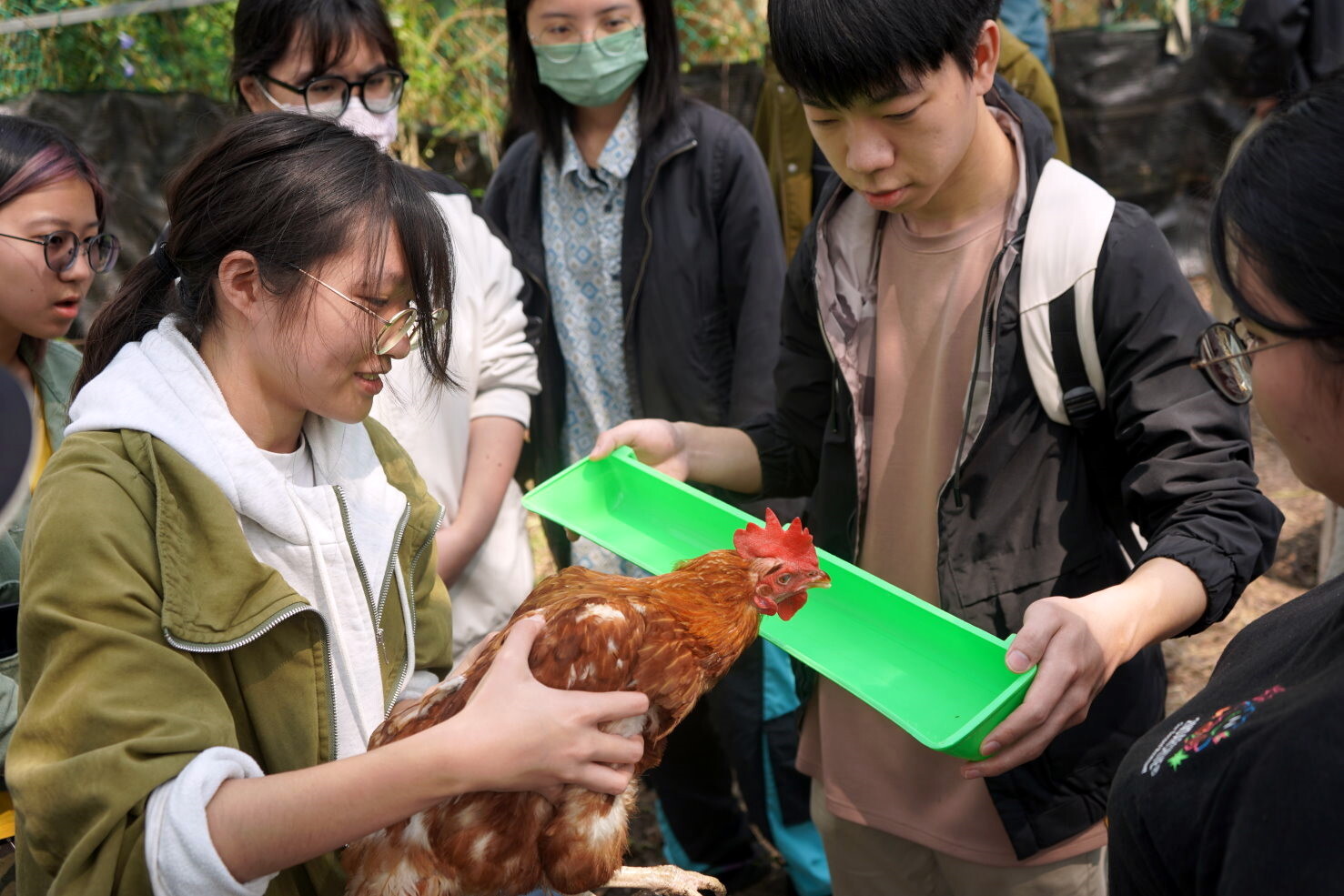 學生抱著雞老師餵食電解質水