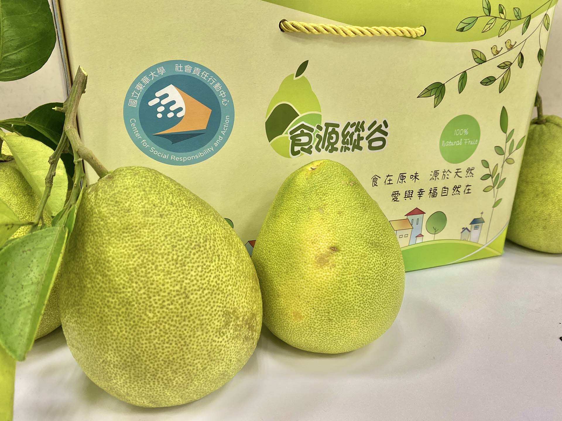 位於花蓮的東華大學走出校園、深入在地,協助柚農採取友善耕作模式生產文旦
