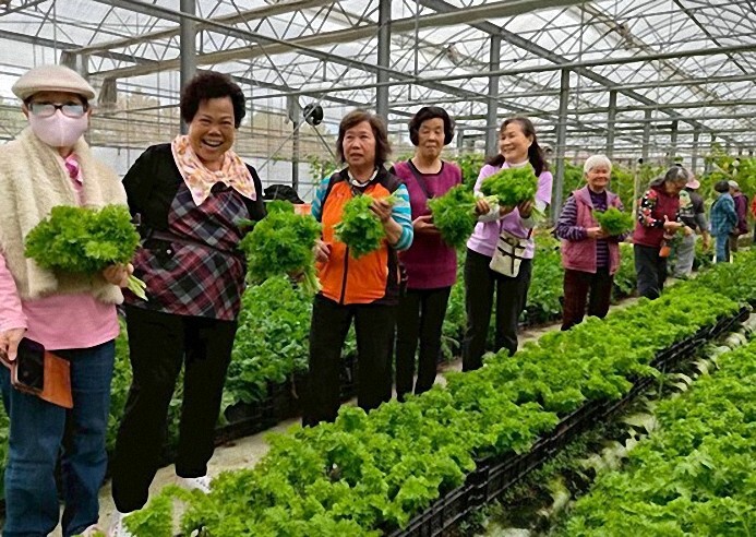 豐山社區發展協會與居民共享芥末菜等高經濟作物的種植與採收活動(東華大學能源科技中心提供)