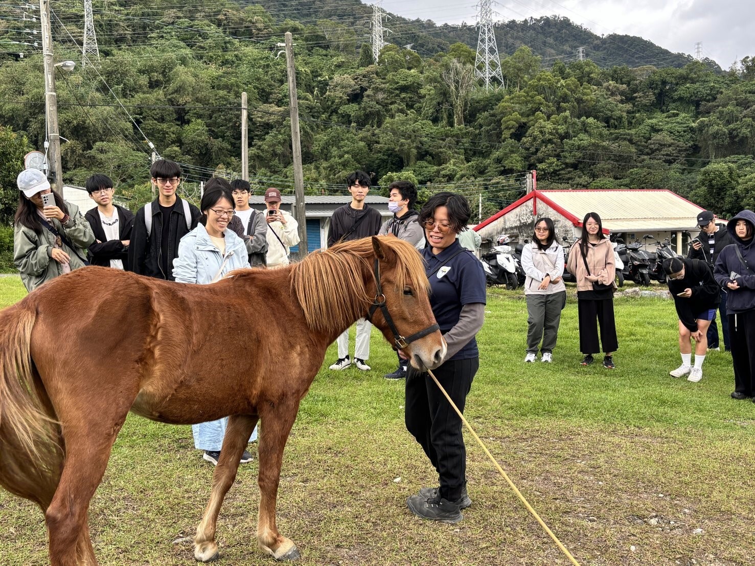 師生協助馬匹輔助教育中心辦理「冬日暖陽融合運動會」從認識馬匹開始