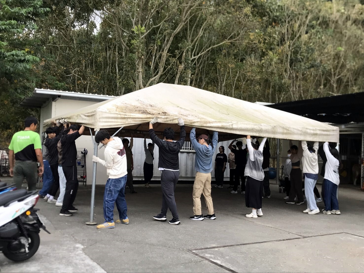 學生發揮螞蟻搬家精神搬運大棚架