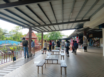 展開災後心理復健之旅