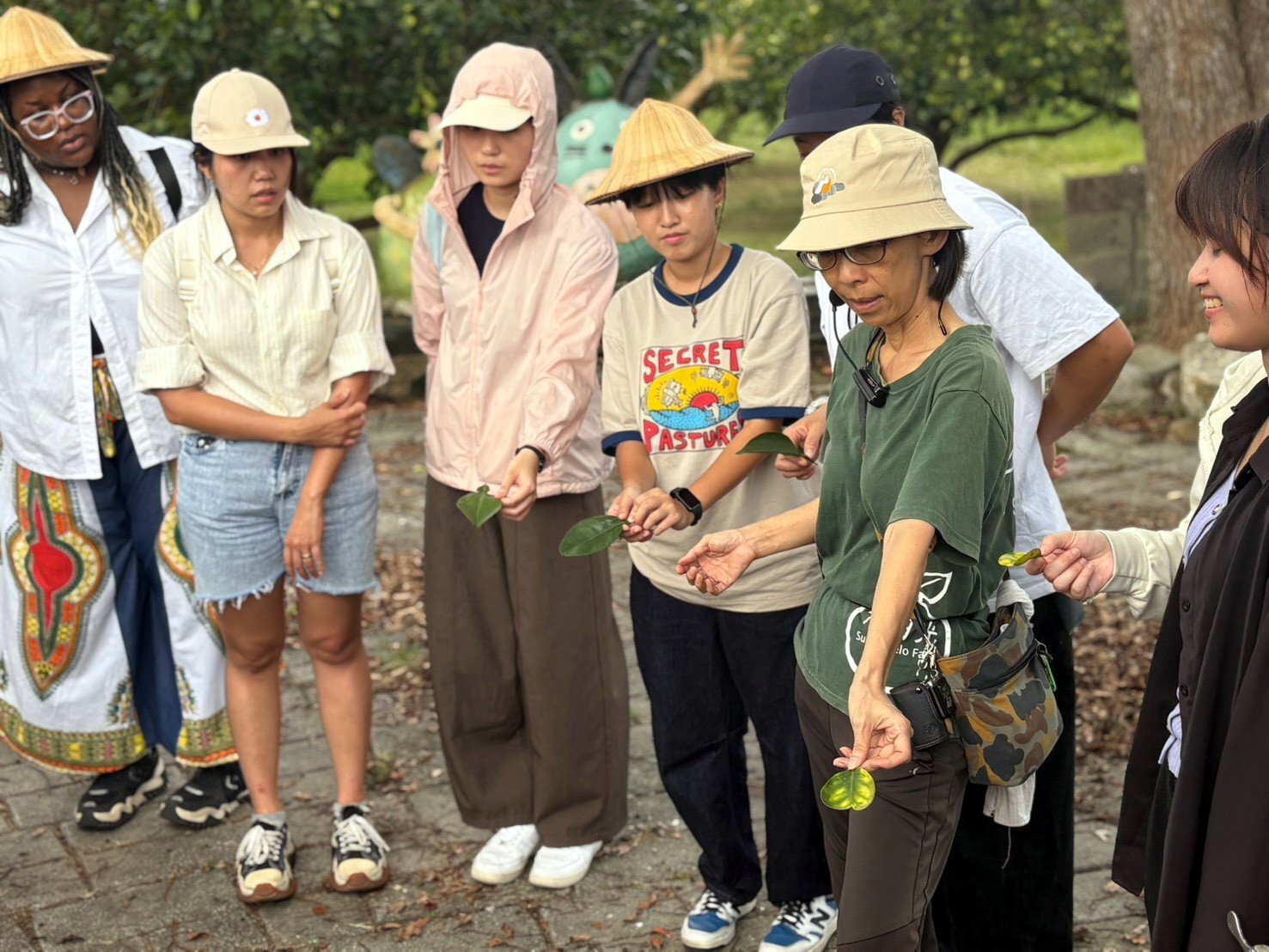 柚葉小知識介紹