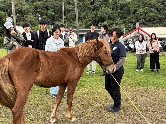 東華大學社會學系執行教育部高教深耕計畫，辦理「冬日暖陽融合運動日」，實踐大學作為社會公共力量核心精神