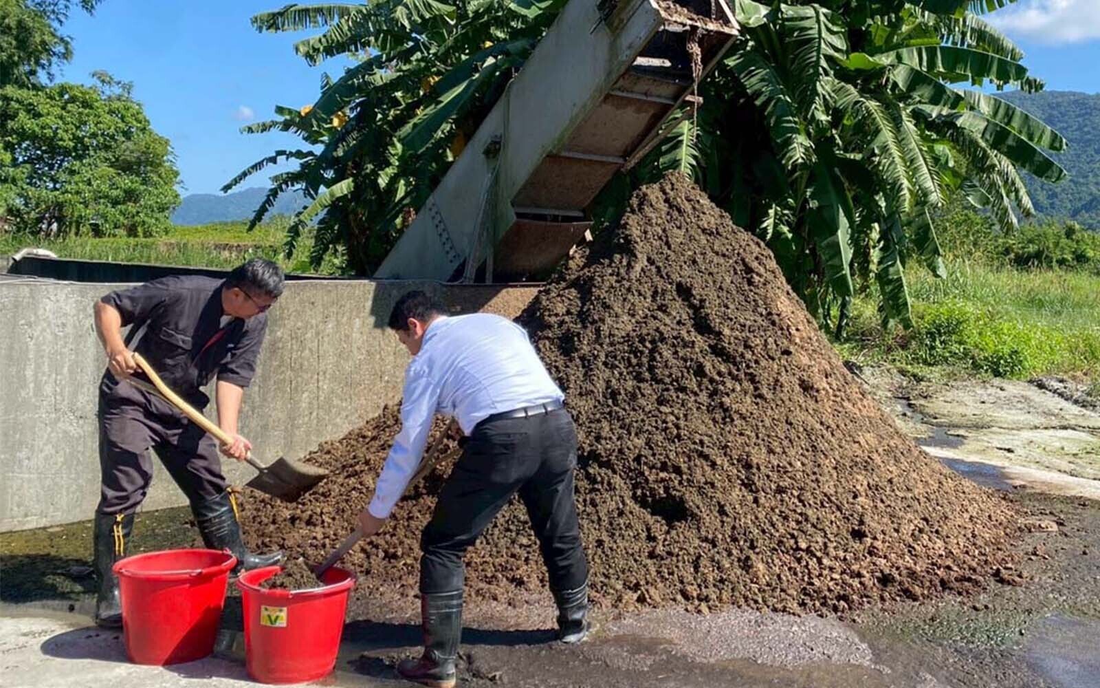 從災後淤泥與牛糞再到沃土！東華綠電合作社啟動「沙盒」實驗打造韌性化的循環農業