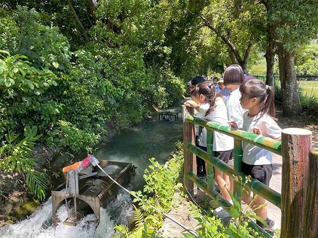 東華大學舉辦「2025跨域綠能科學營」國中小學生化身小小能源探險家，推動永續教育向下扎根