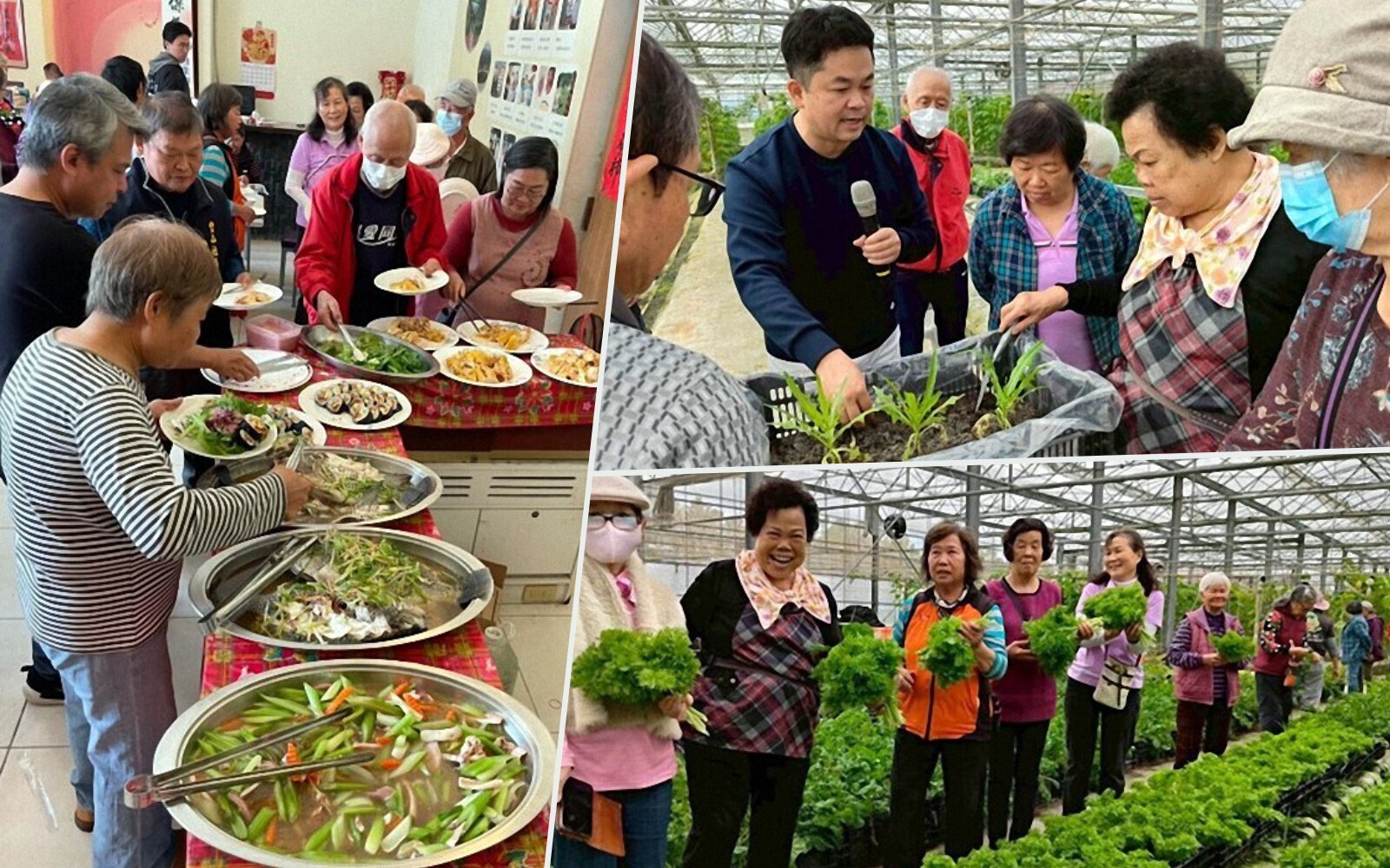 從綠能到大地餐桌－東華綠電團隊攜手豐山實踐高齡共學與社區照護